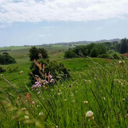 Apartament Slettegaard Slettestrand Zewnętrze zdjęcie