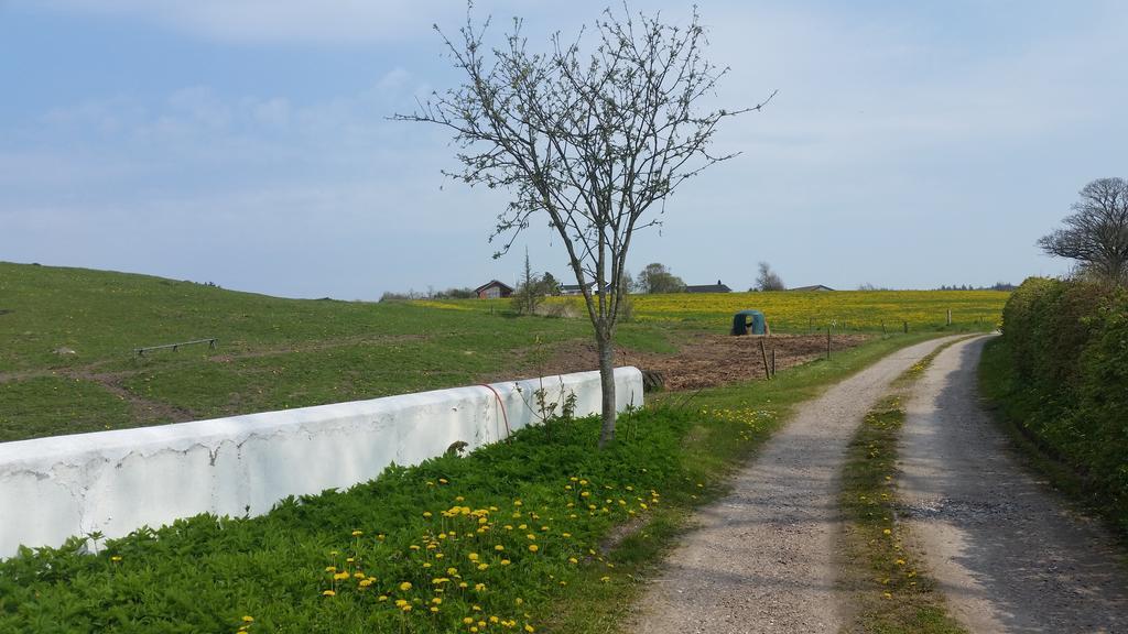 Apartament Slettegaard Slettestrand Zewnętrze zdjęcie